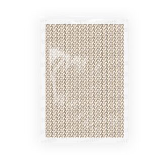 Brown Dior Monogram Waterslide Nail Decals – Clear Transparent A6 Sheet